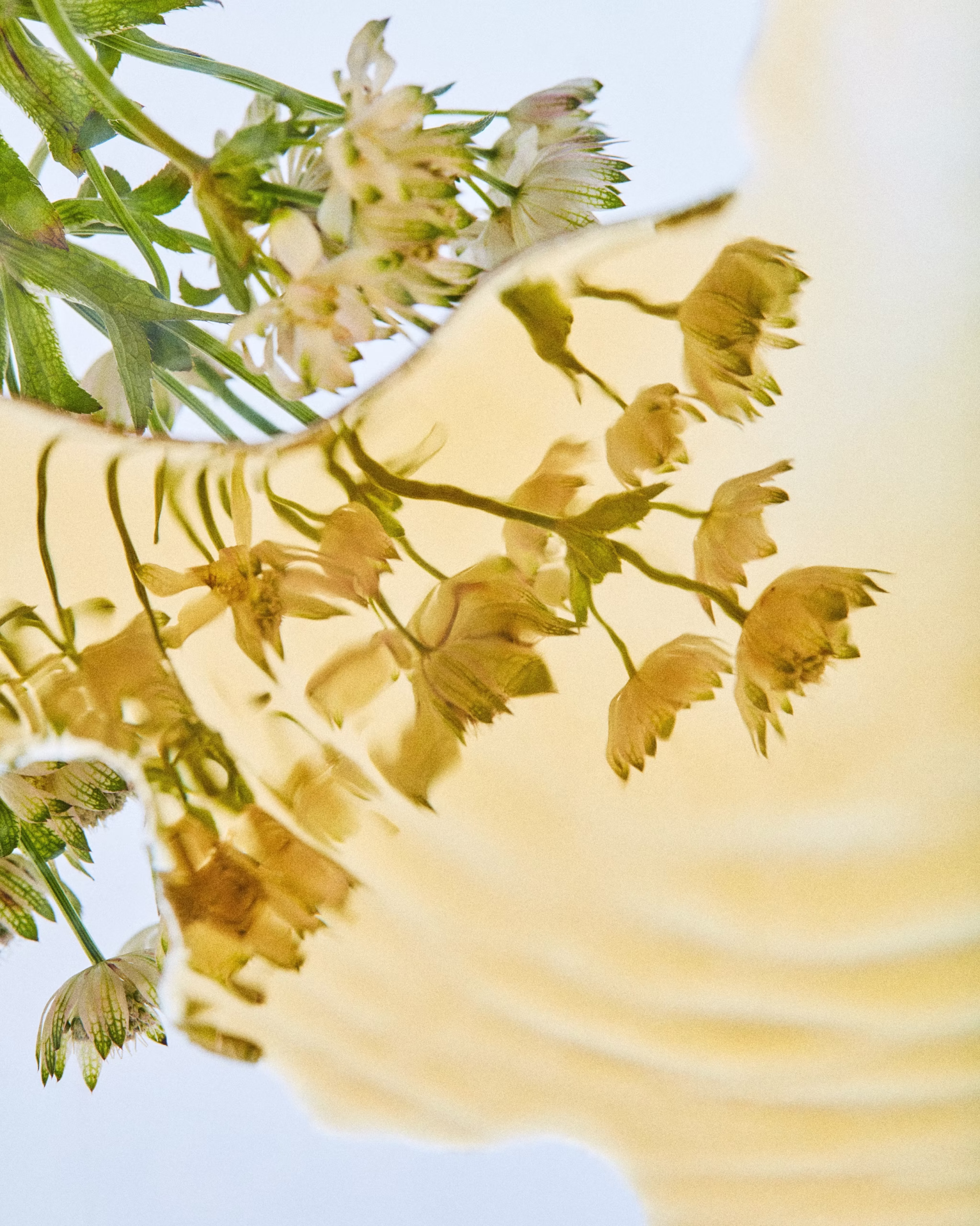 230917_CAT_Mugs1721_1