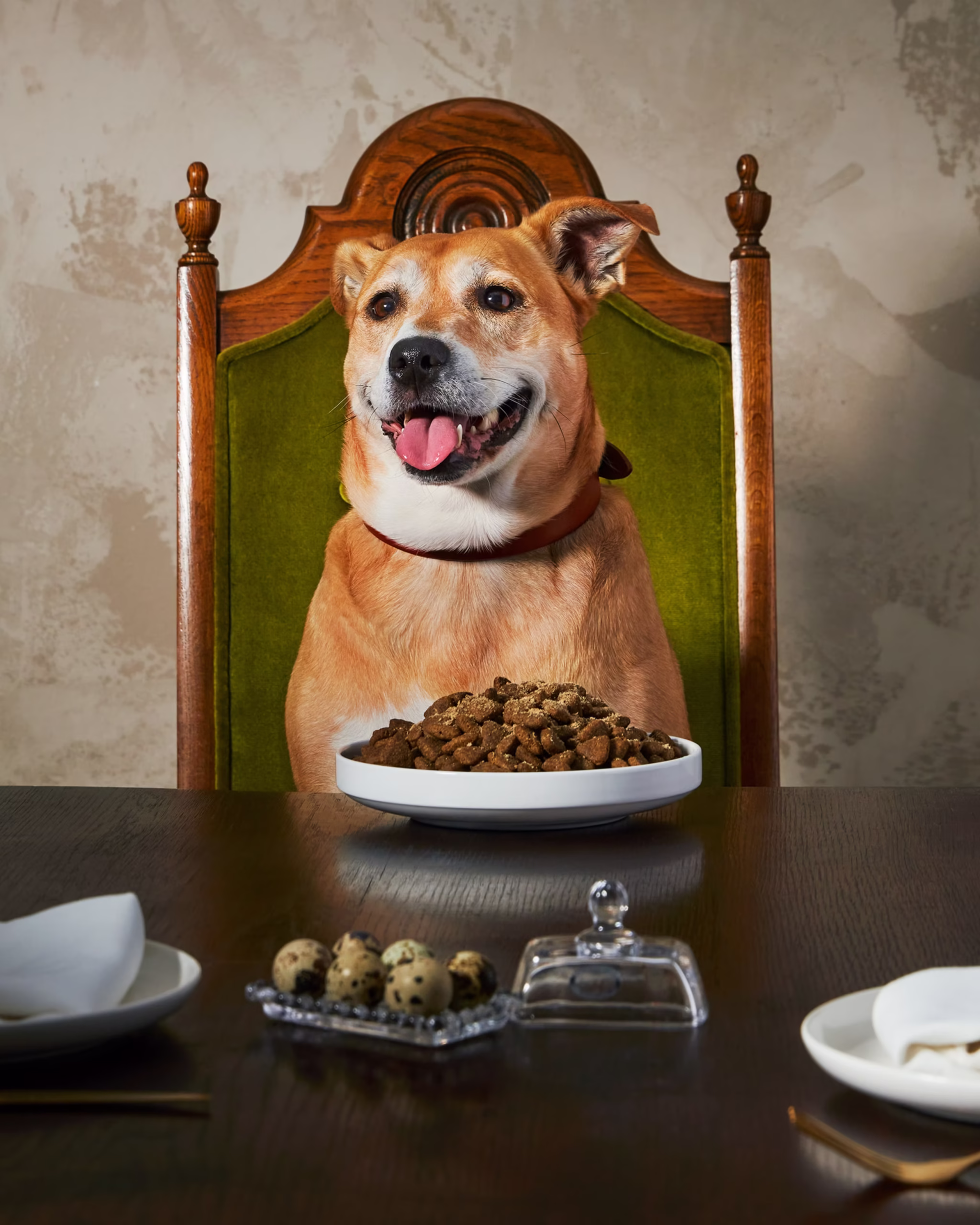 240325_ROB_PetValu_10428_MAIN_Final_1