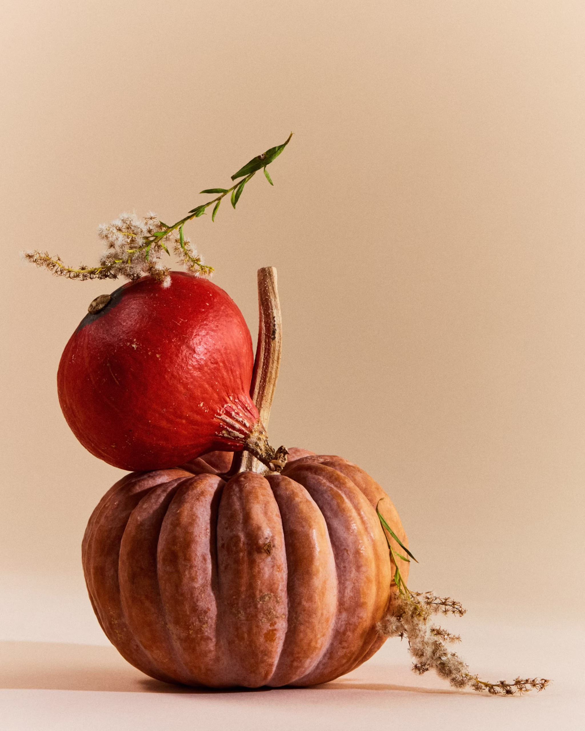 241028_OntarioVeg_01_11706_1