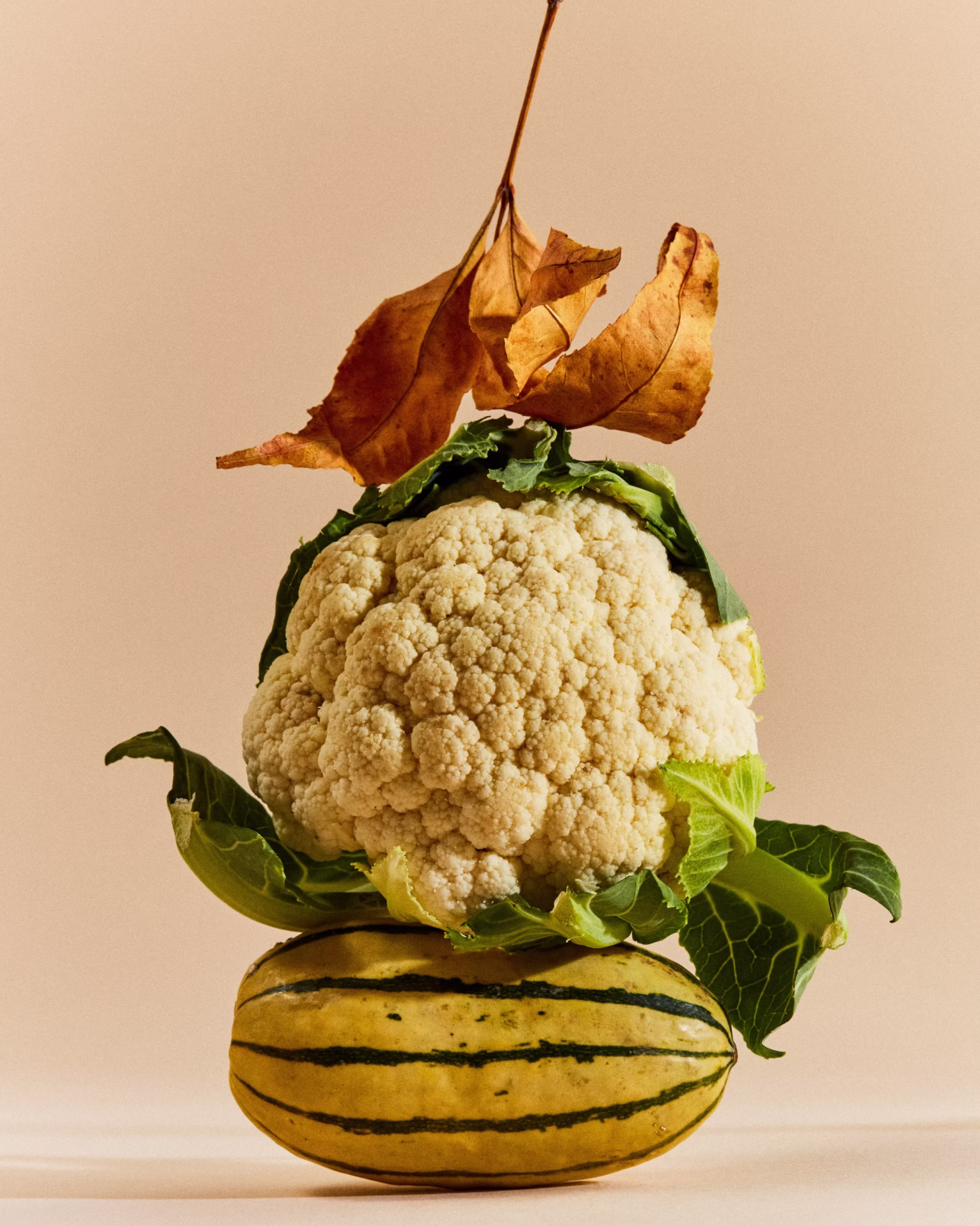 241028_OntarioVeg_01_11747_1