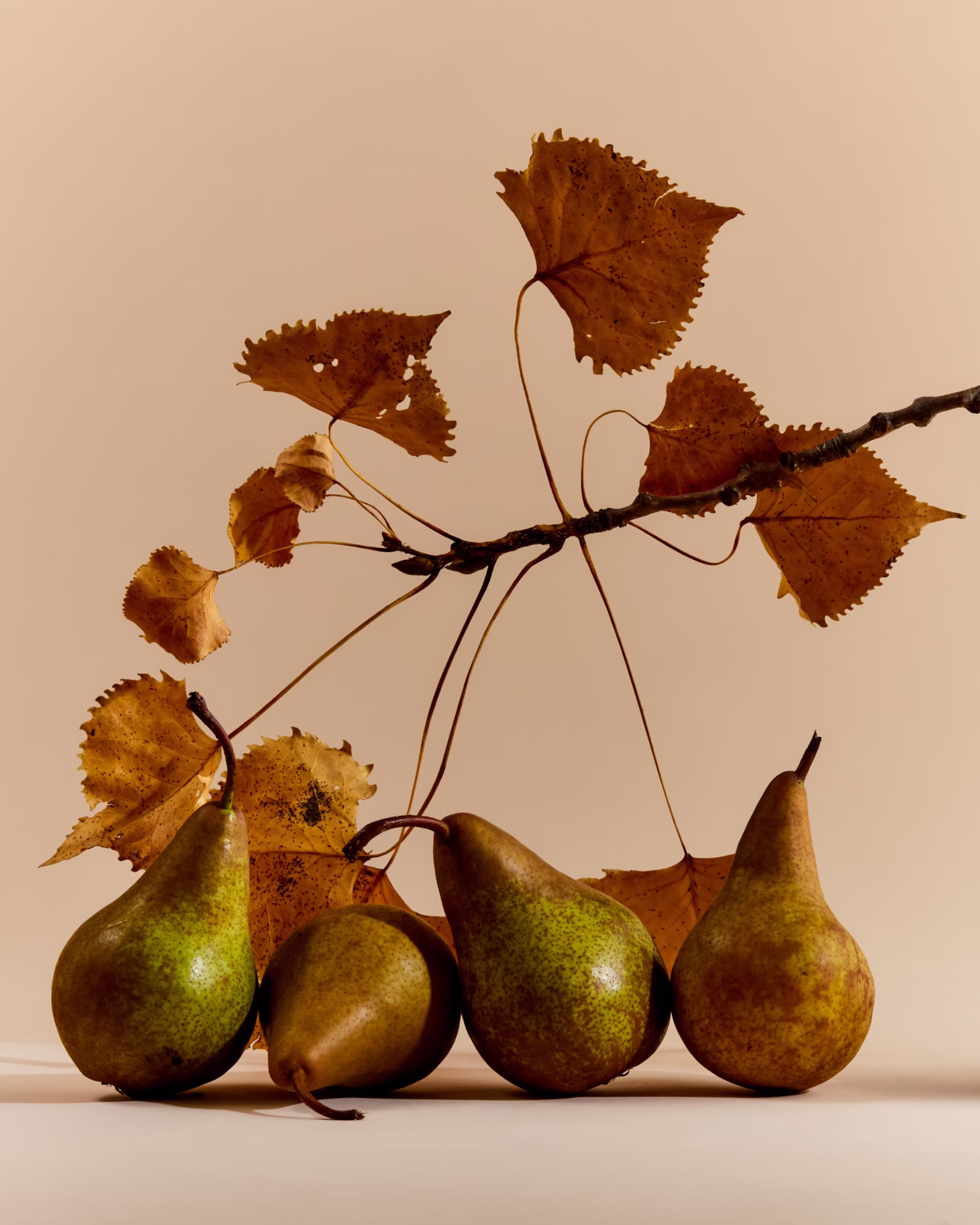 241028_OntarioVeg_01_11763 1_1