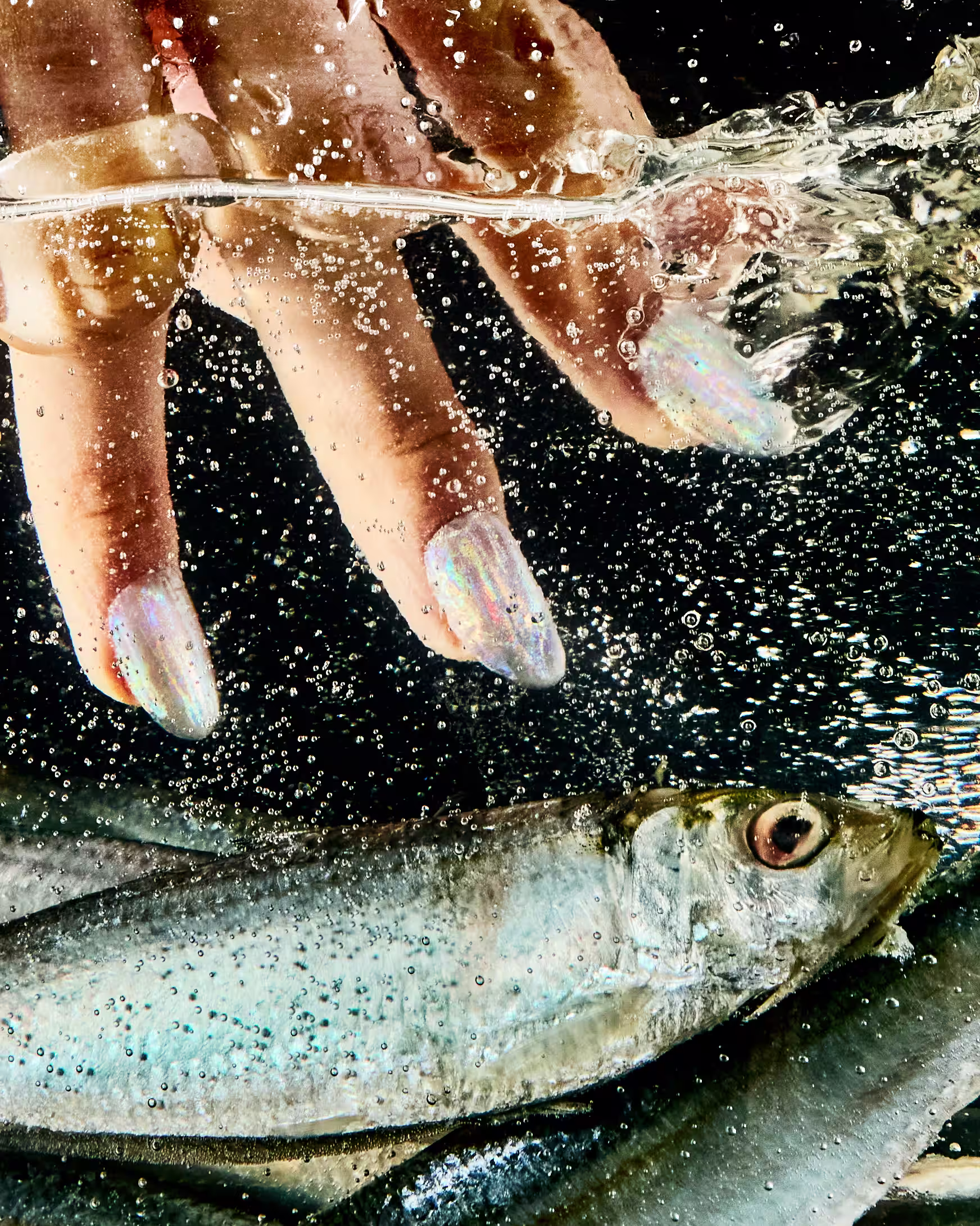 250614_NAILS_FISH_0664_CROPPED_v2