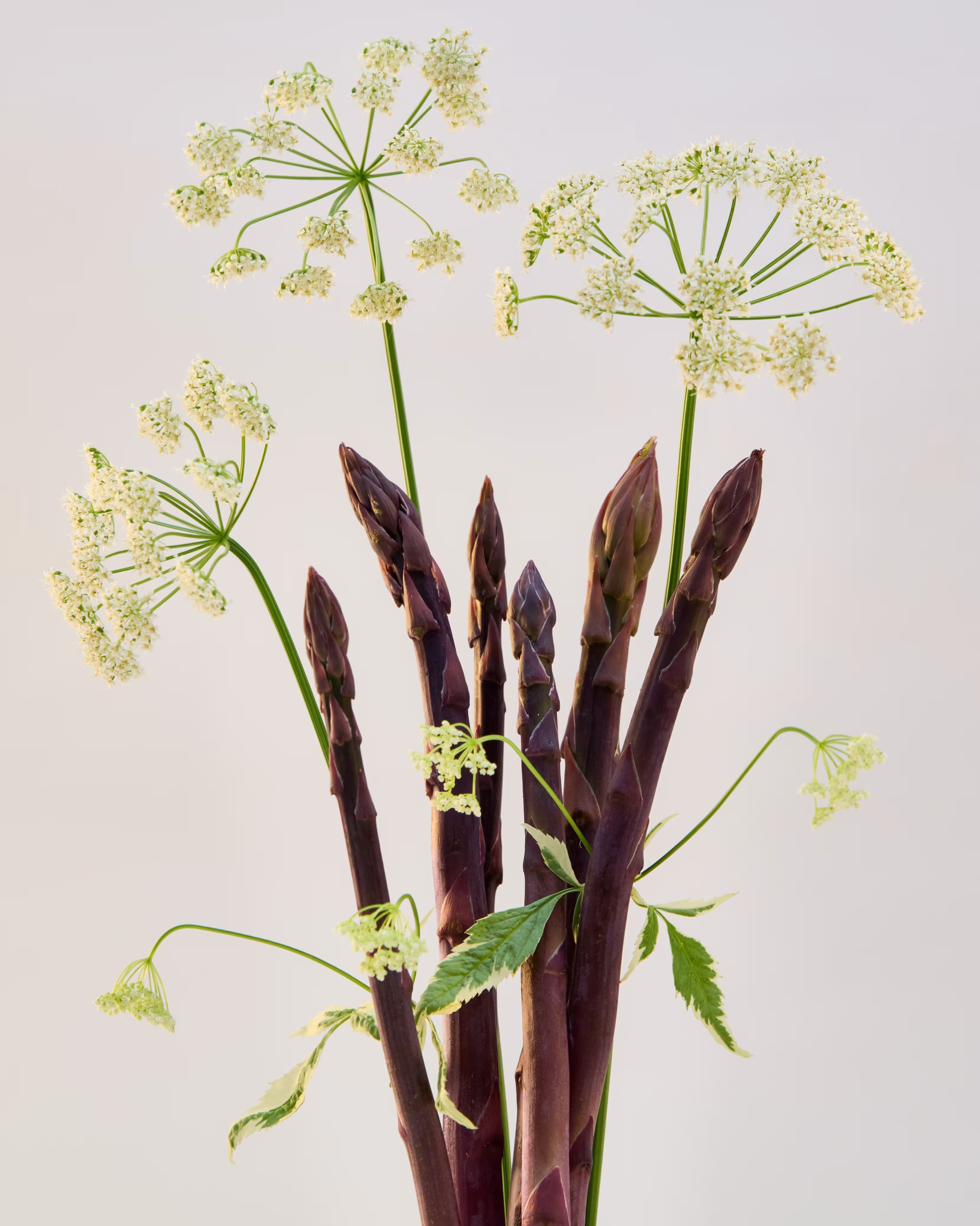 250623_SummerProduce1760