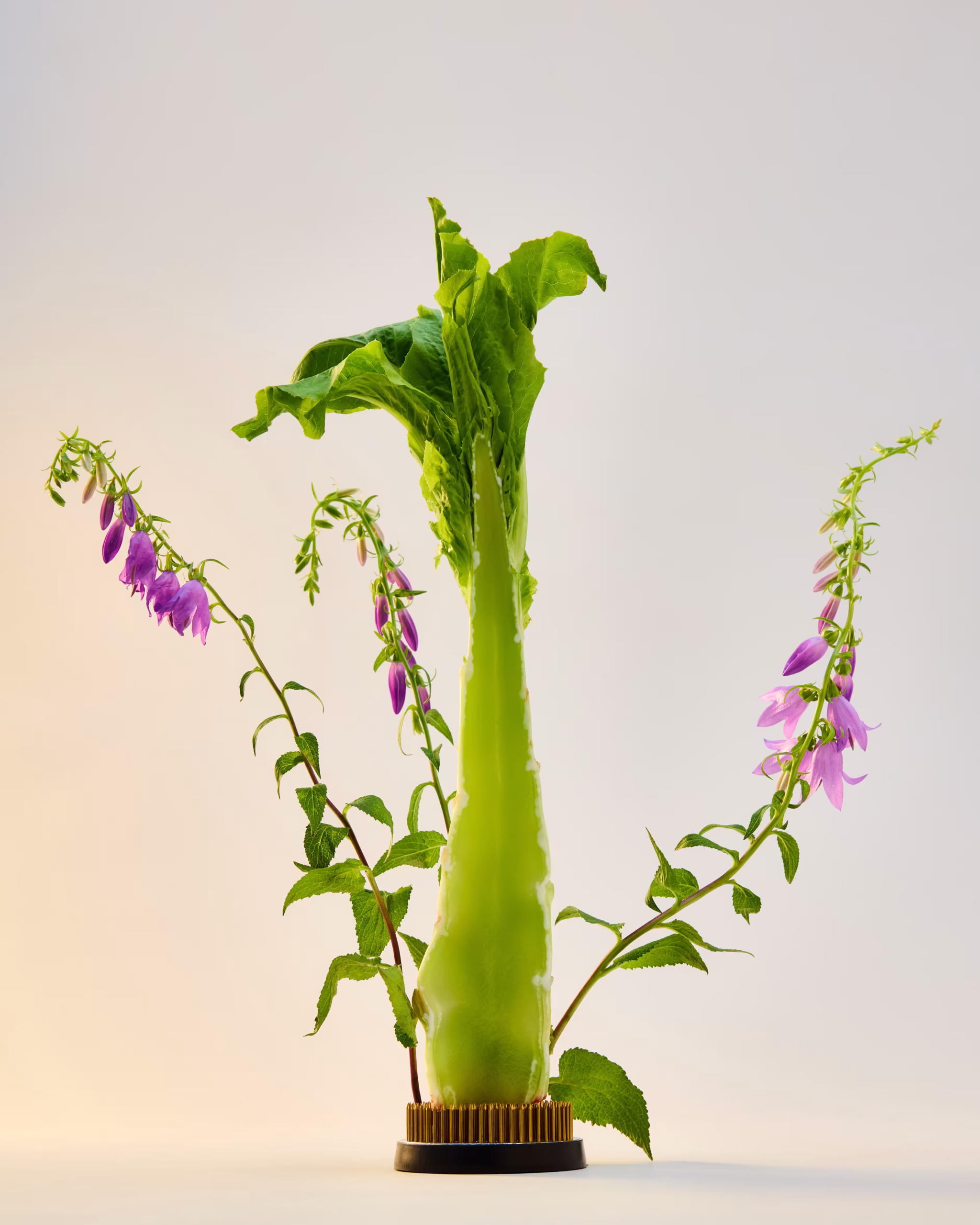 250623_SummerProduce1939