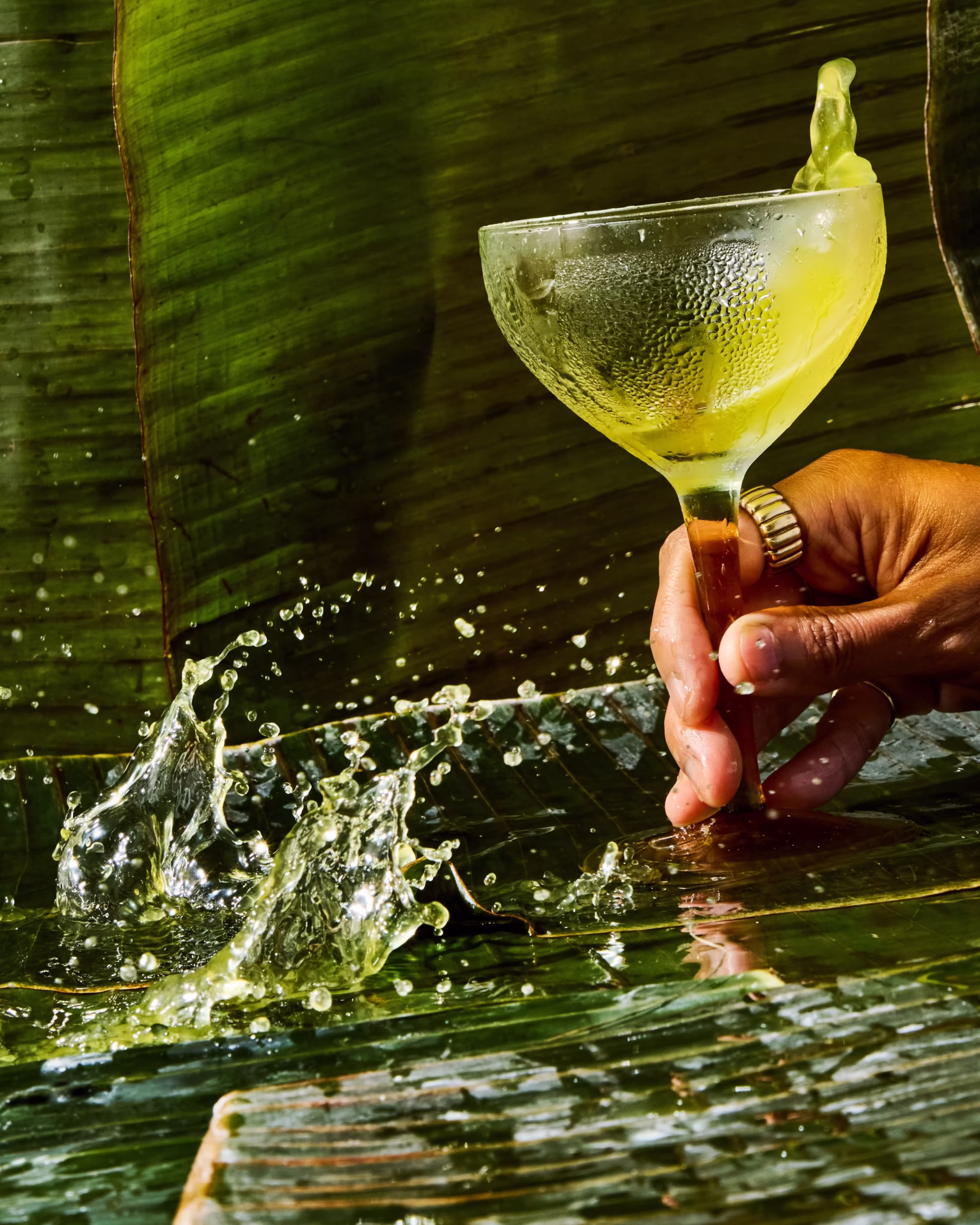 250823_DBN_BananaDaquiri_15561 1_1