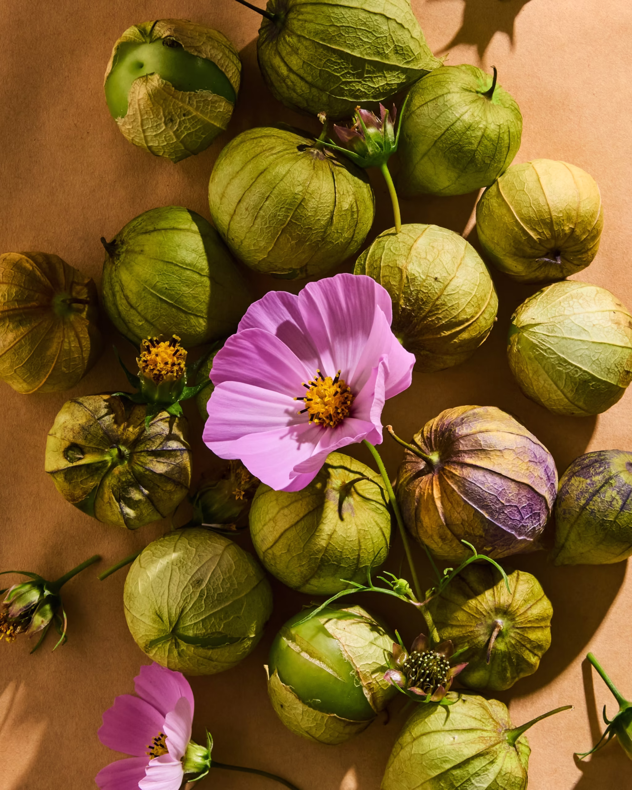 250915_LateSummerProduce16570 2_1