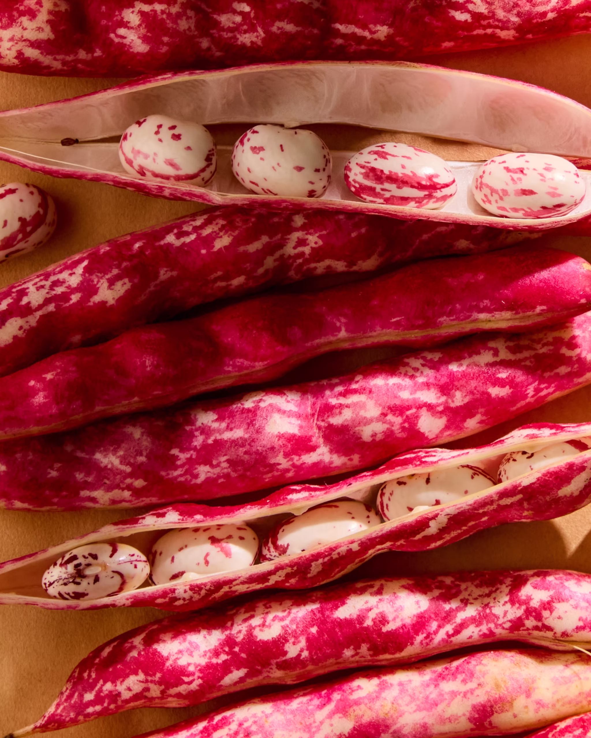 250915_LateSummerProduce16587 1_1