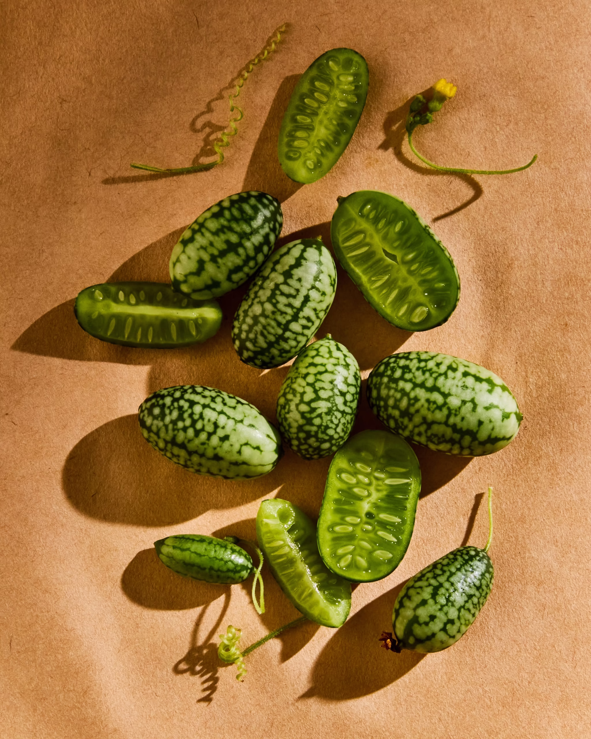 250915_LateSummerProduce16589 1_1