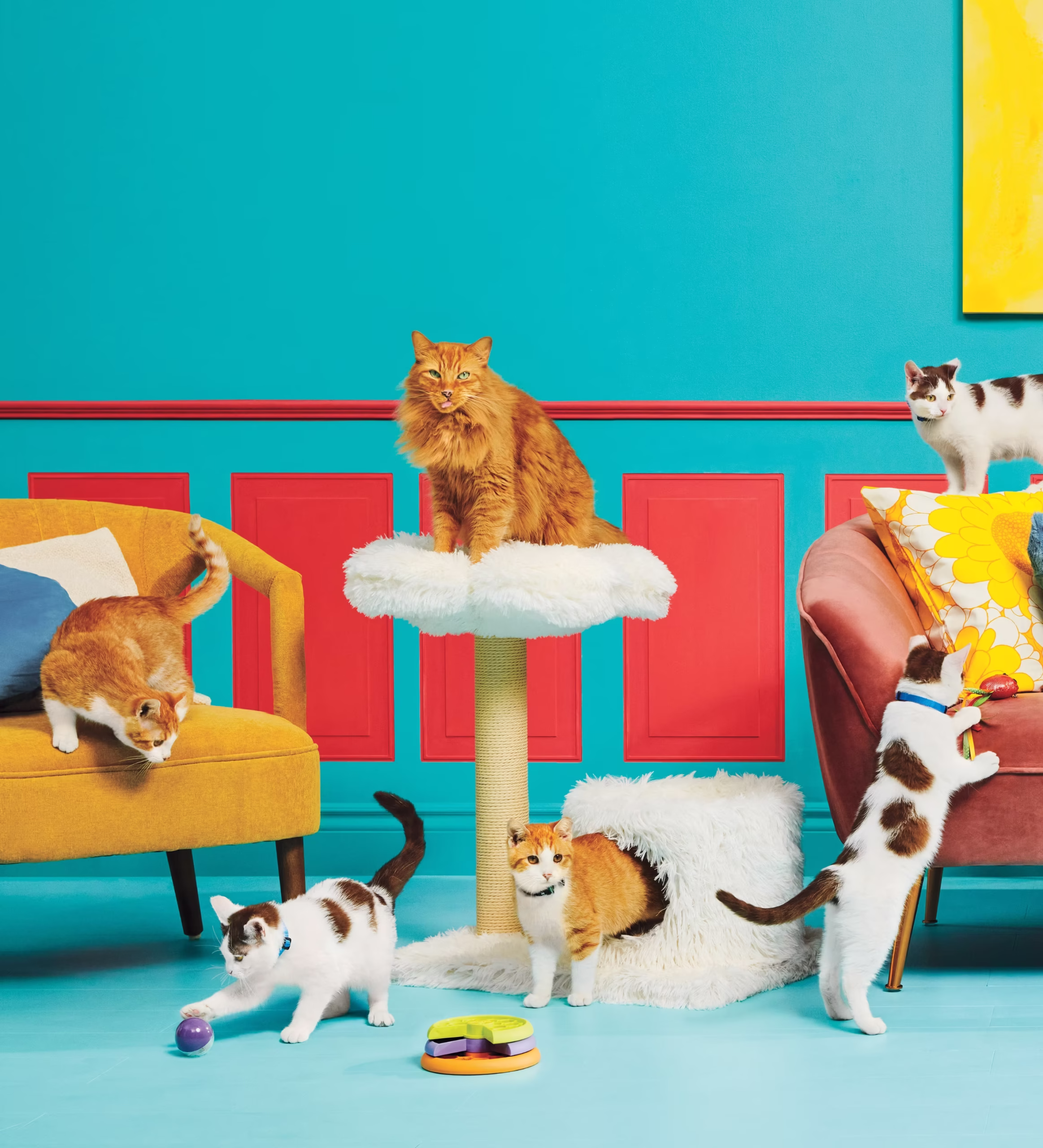 CHE24_SUMMER_Catelaine Decor_LS_1