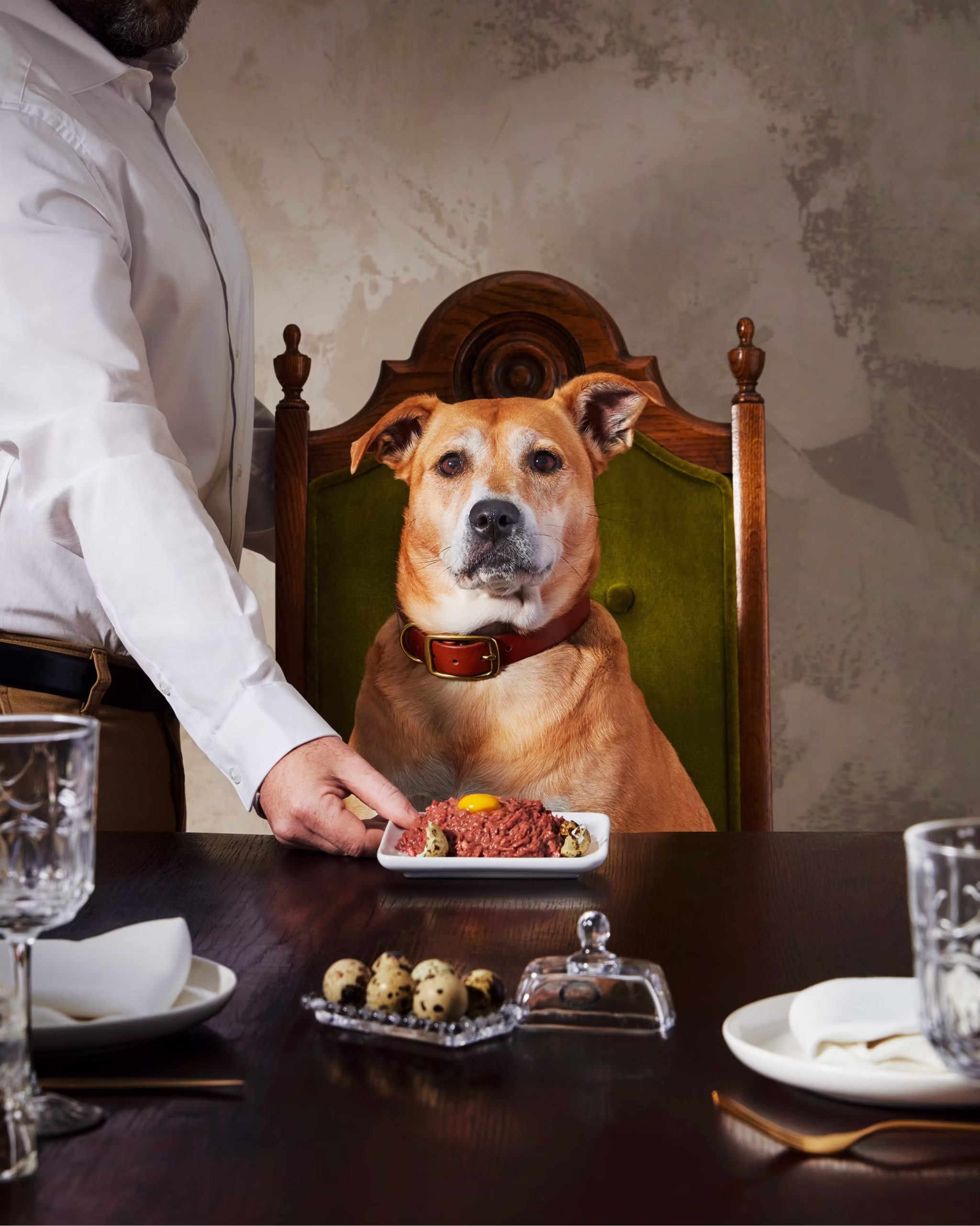 Home Mobile_ 1600×2000-19_1